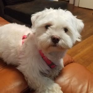 Meet your Posher, Fabiola